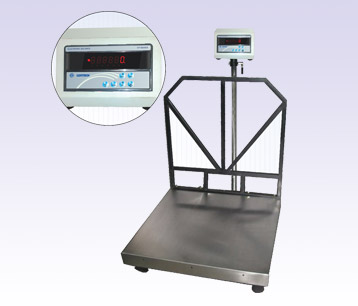 Weighing Scale Repairing Service